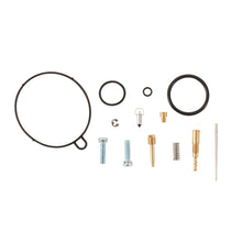 Carburetor Repair Kit