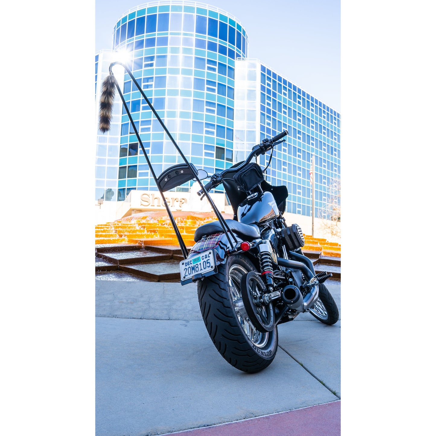 Stupid Tall Sissy Bar W/Bar Black Xl 04 22