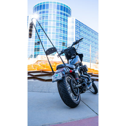 Stupid Tall Sissy Bar W/Bar Black Xl 04 22