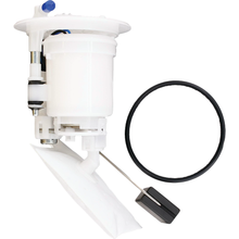 Fuel Pump Module