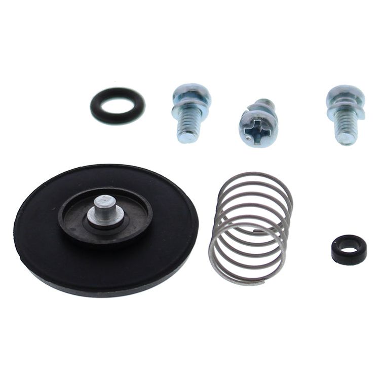 Accel. Pump Rebuild Kit