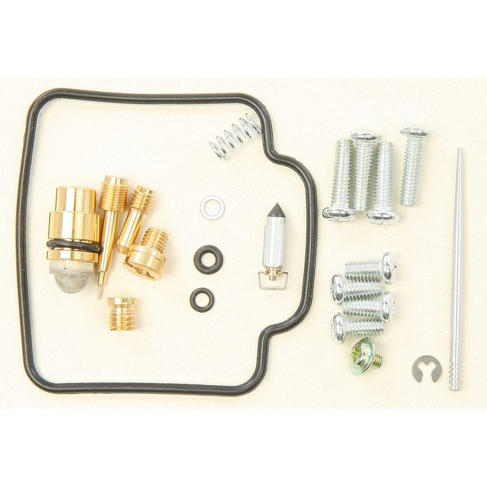 Carburetor Repair Kit