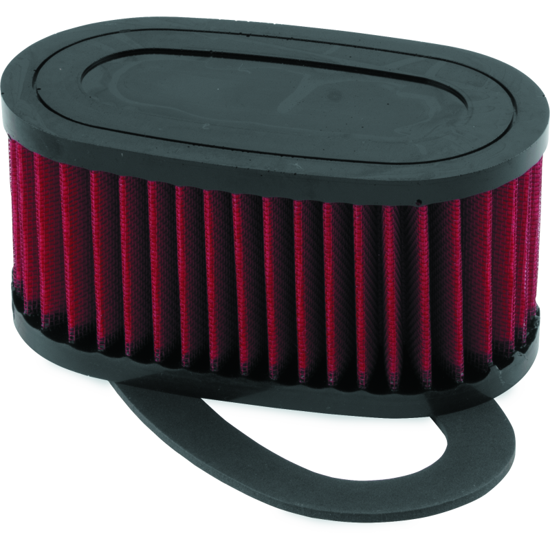 BikeMaster Honda VT750C/CD Shadow ACE/DLX Air Filter