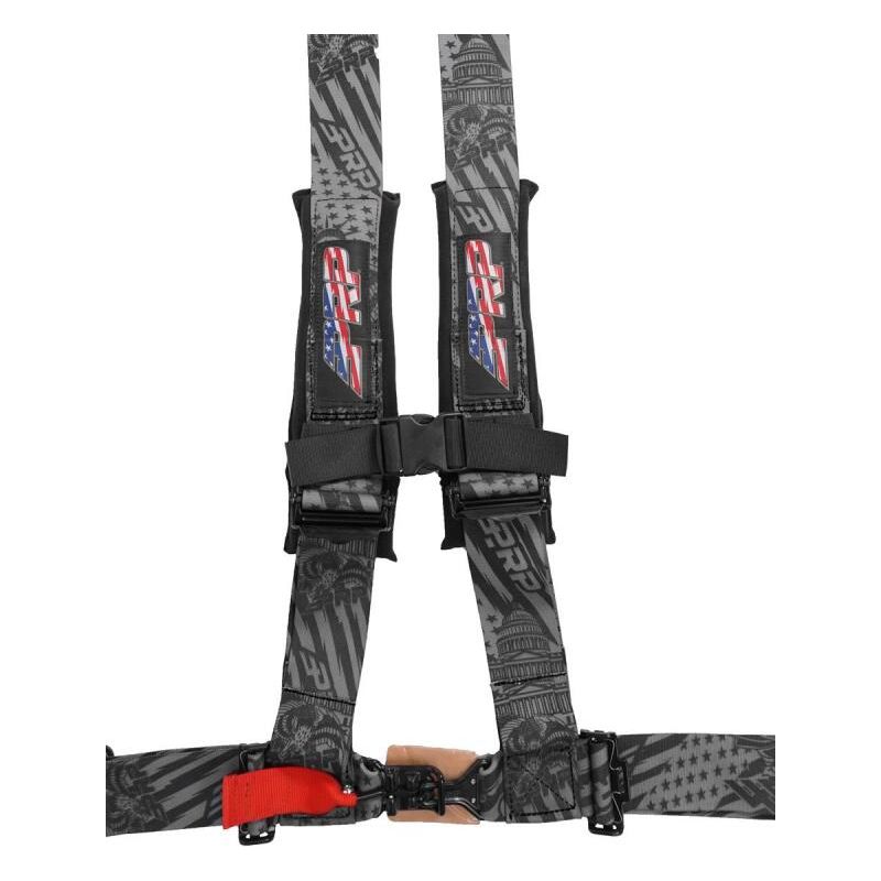 PRP 4.3 Harness - New Glory