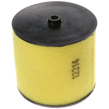 Honda 17254-HN5-670 Air Filter
