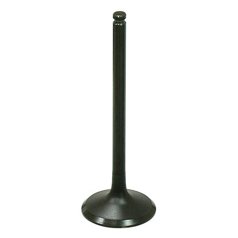 Exhaust Valve
