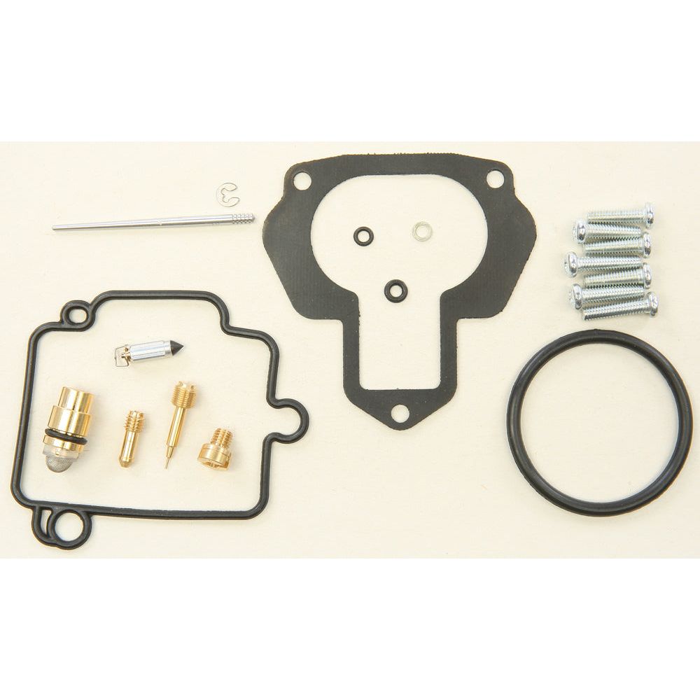 Carburetor Repair Kit