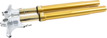 OHLINS Fork Cartridge Kit - 48 mm - Inverted - Gold (FGRT308) FGRT 308