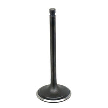 Intake Valve