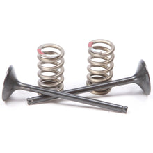 Exhaust Valve Conversion Set Ti Steel Yam