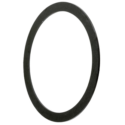 Polaris RZR Washer, 45.5 x 54 x 0.8, Genuine OEM Part 7557138, Qty 1