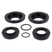 Differential Seal Kit