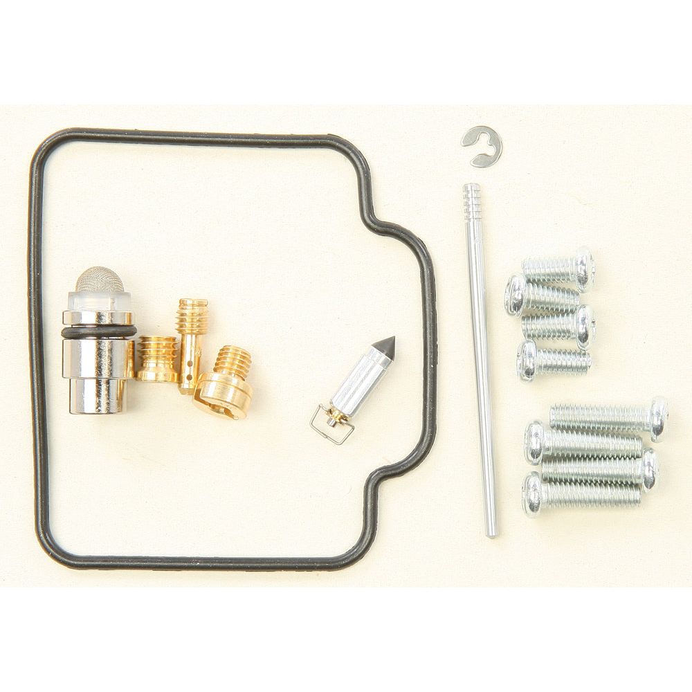 Carburetor Repair Kit