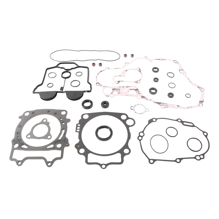 Complete Gasket Set With Oil Seals