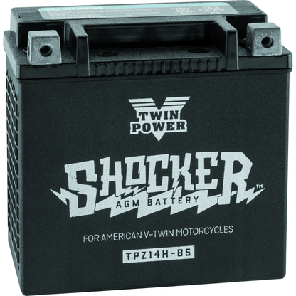 Twin Power YTX-14 Shocker Battery Replaces H-D 65948-00 220 CCA