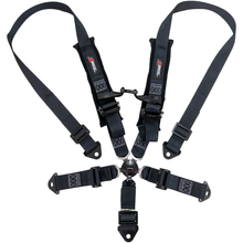2" 5 Point Cam Lock Harness