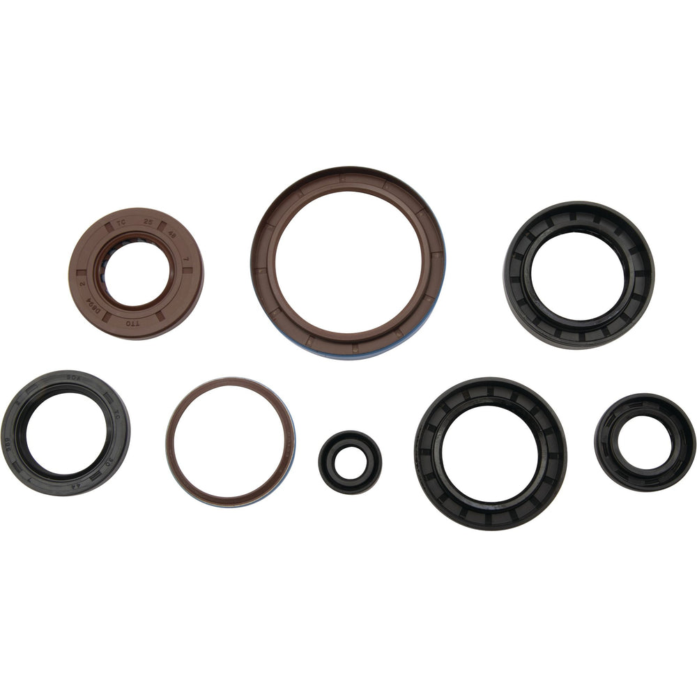
                      
                        Oil Seal Set
                      
                    