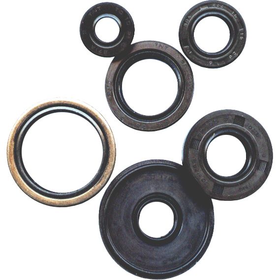 Oil Seal Set
