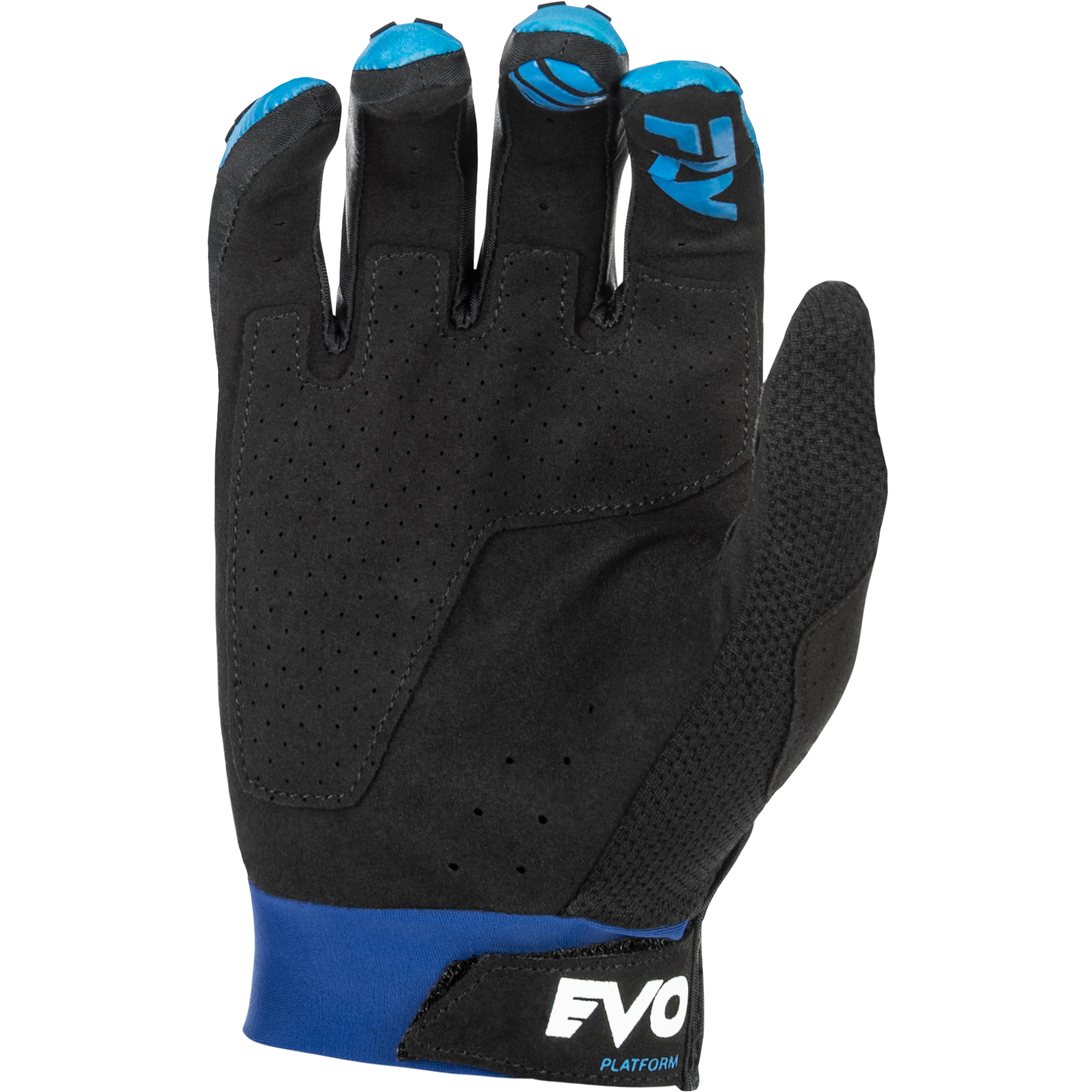 Evolution  Dst Gloves Blue/White 2x