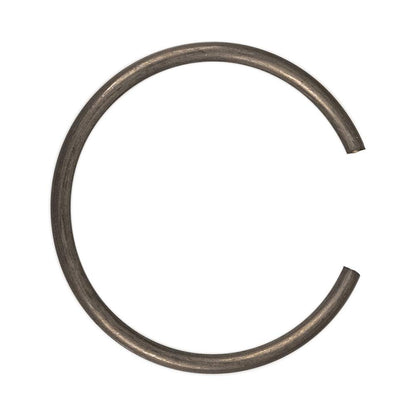 Polaris ATV Ring Spring, Genuine OEM Part 1350042, Qty 1