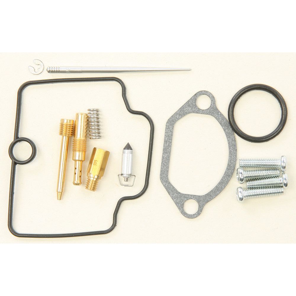 Bike Carburetor Rebuild Kit