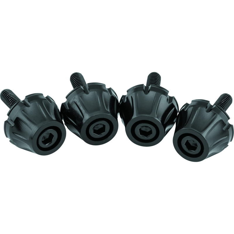 Kuryakyn Windshield Screws FLTR Black