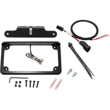 License Plate W/ Led