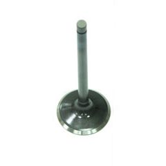 Exhaust Valve
