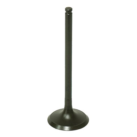Exhaust Valve