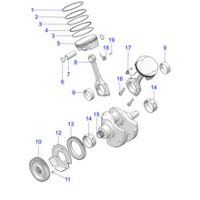 Indian Motorcycle Rod Bearing, 48 x 51 x 17, Genuine OEM Part 3515027-001, Qty 1