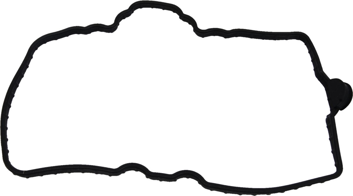 Valve Cover Gasket Pol