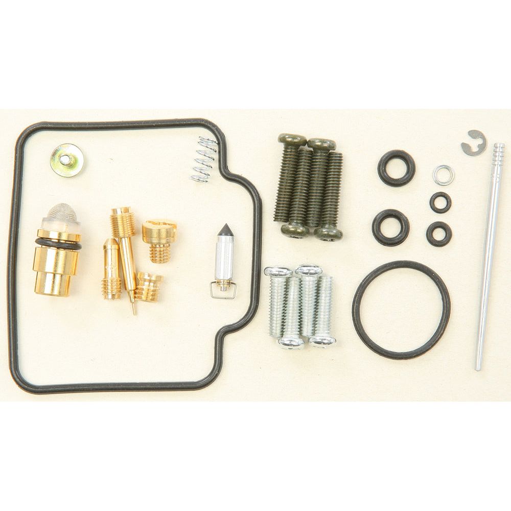 Carburetor Repair Kit