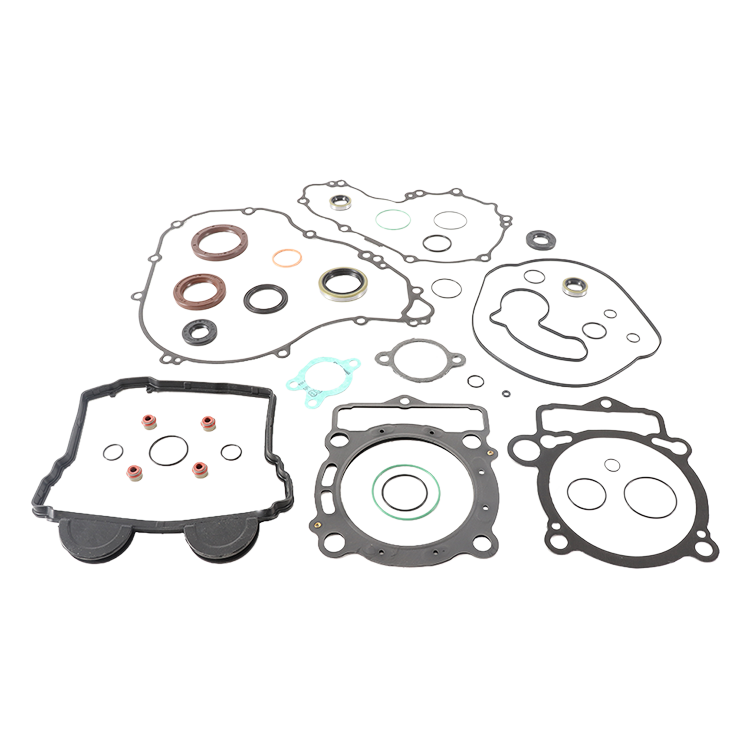 Complete Gasket Set With Oil Seals