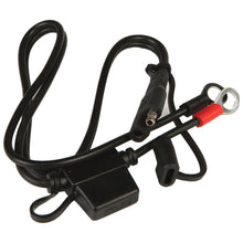 Ring Terminal Harness Black 2'