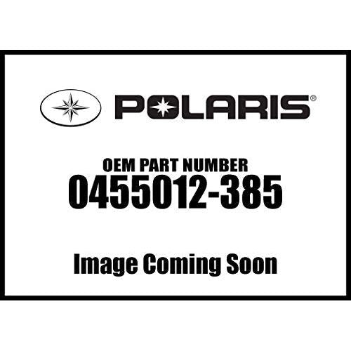 Polaris ATV Swingarm Assembly, Cloud Silver, Youth 90, Genuine OEM Part 0455012-385, Qty 1