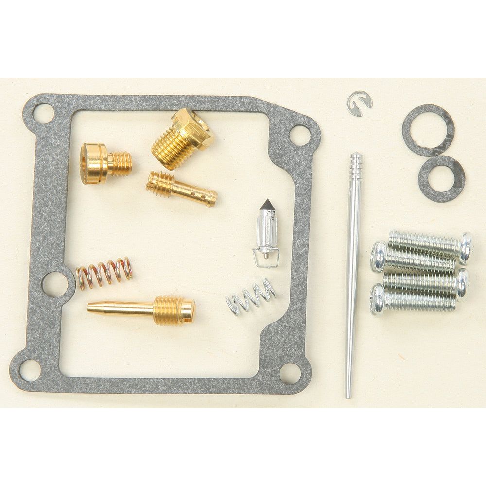 Bike Carburetor Rebuild Kit