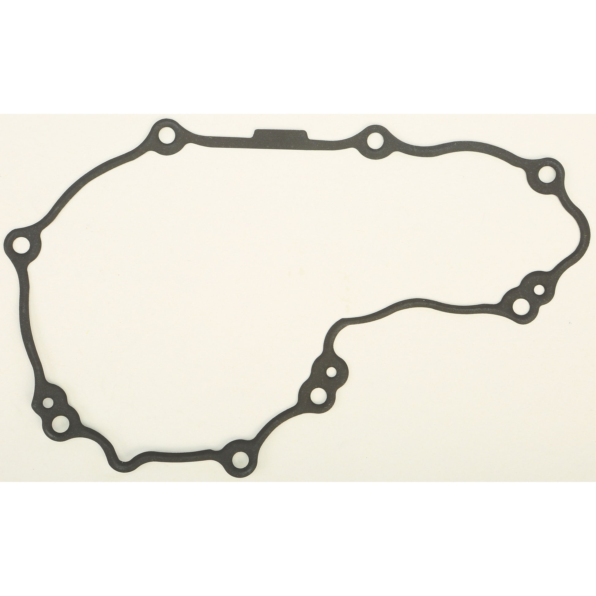 Ignition Cover Gasket