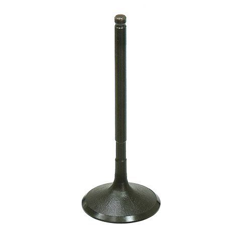 Intake Valve
