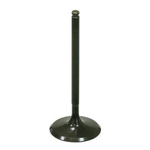 Intake Valve
