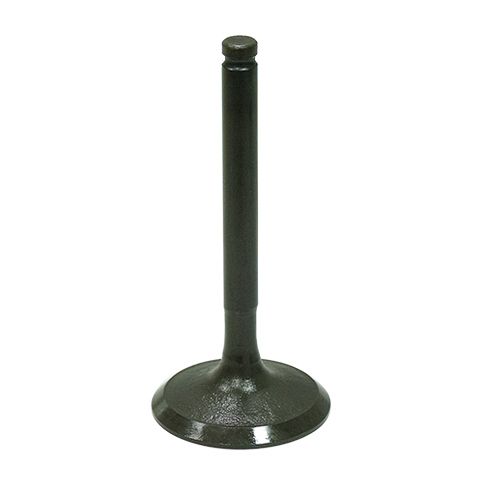 Intake Valve