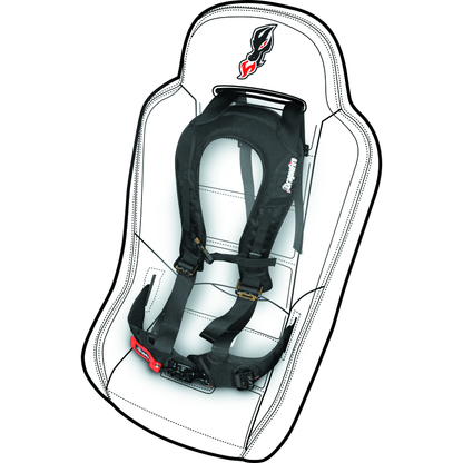 DragonFire Racing Harness Evo- Black