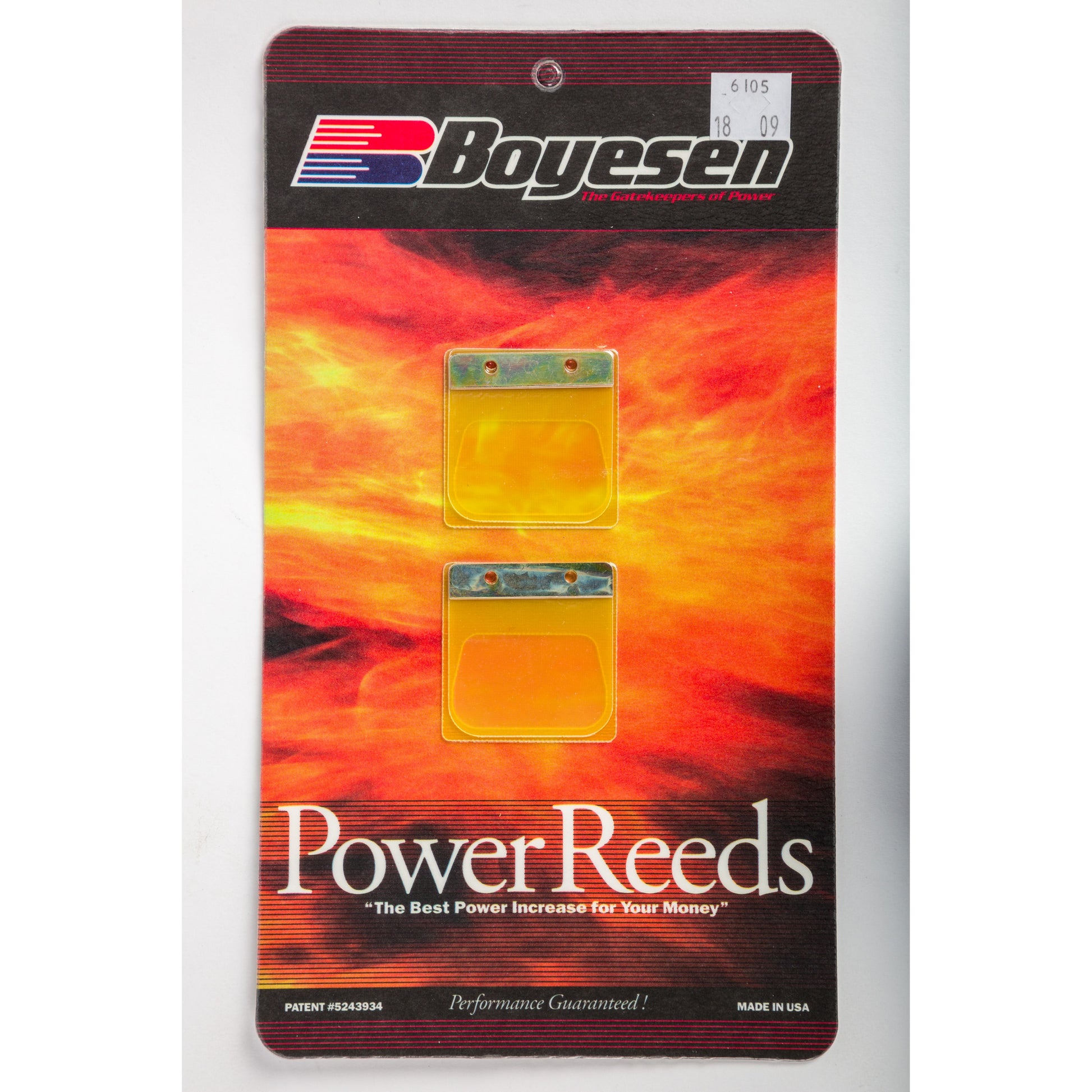 Motorcycle Reeds