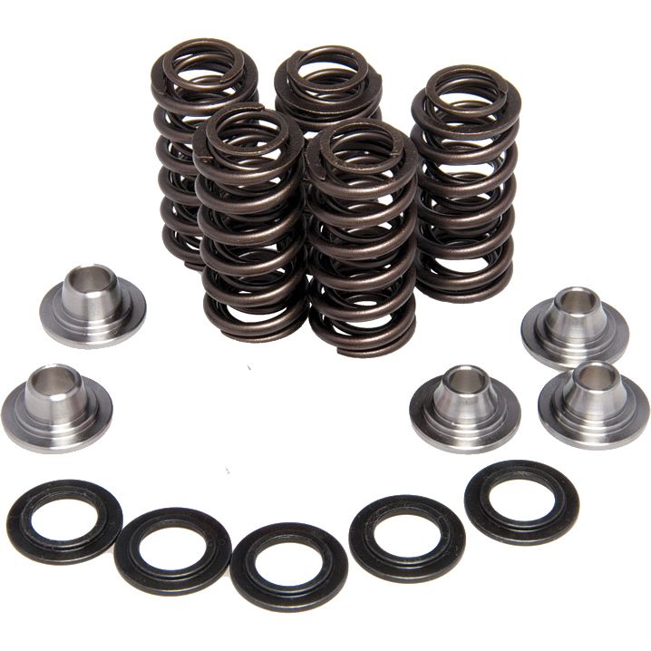 Racing Valve Spring Kit