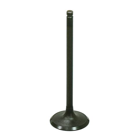 Intake Valve