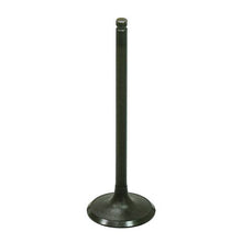 Intake Valve