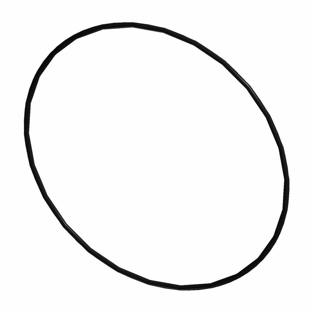 
                      
                        Polaris OEM Seal-O-Ring .125 Hollow 2002-2005 Sportsman Frontier Classic 600 700 5411862
                      
                    