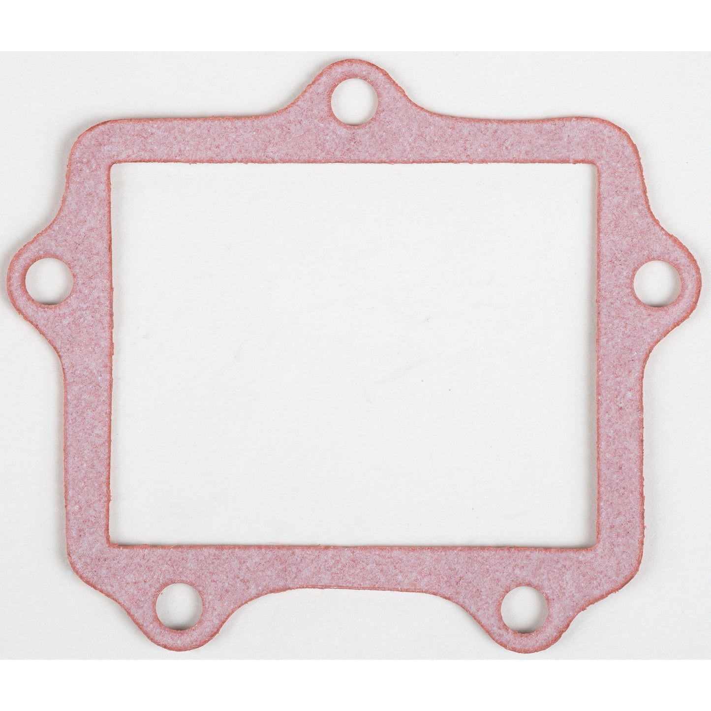 Motorcycle Rad Gasket