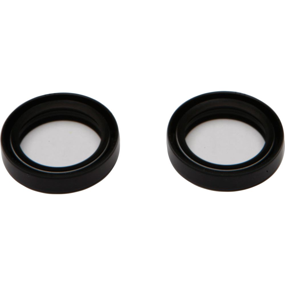 Fork Seal Kit