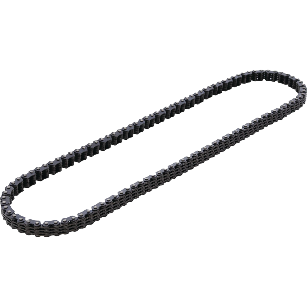 Cam Chain