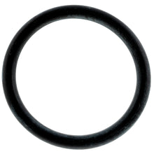 Polaris Ranger O-Ring, Reservoir, Genuine OEM Part 1800028, Qty 1